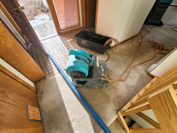 Best Water damage restoration near me  in Mcqueeney, TX