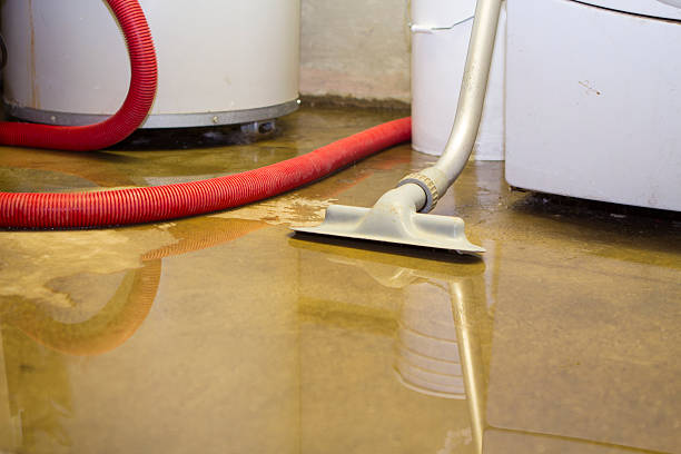 Best Carpet water damage restoration  in Mcqueeney, TX