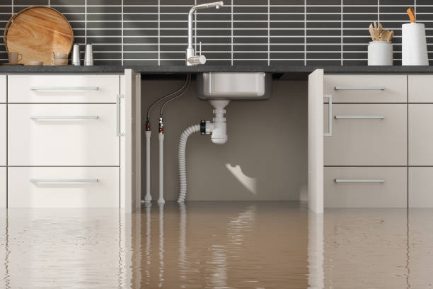 Best 24/7 water damage repair  in Mcqueeney, TX