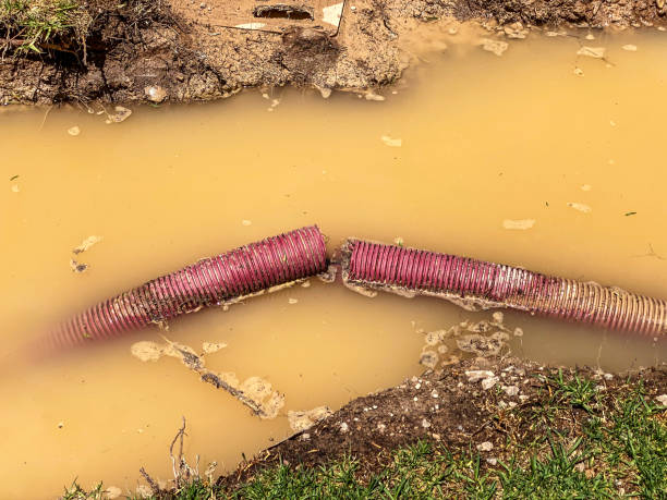 Best Water damage cleanup near me  in Mcqueeney, TX